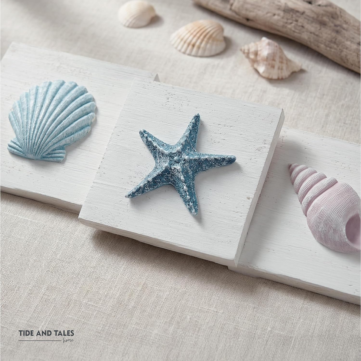 Seashell Wall Plaques — Set of 3, 6 × 6 in